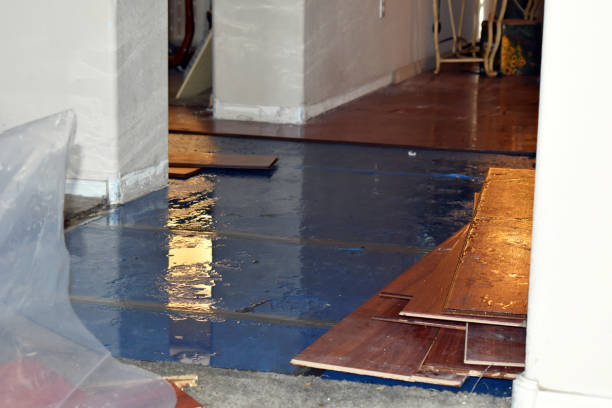Professional Burst Pipe Cleanup technician working in Crosby, ND